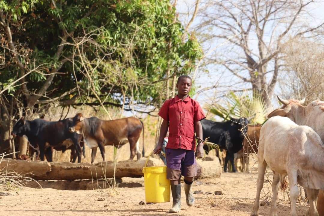 A child carrying a water bucket through Shamanjanji Village, Kafue